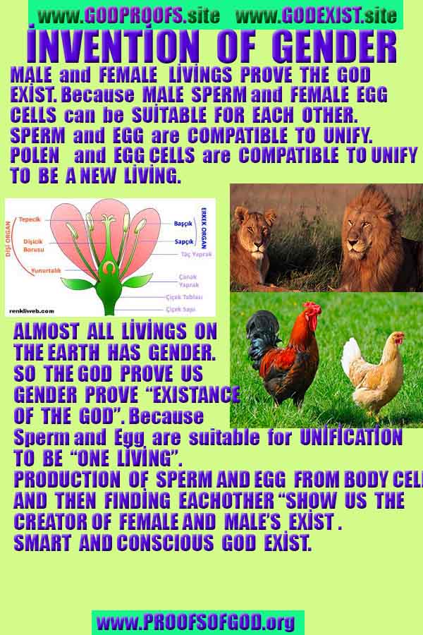 Allahın delilleri kanıtları