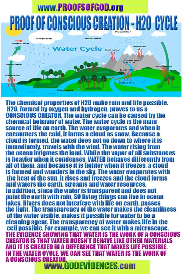Allahın delilleri kanıtları