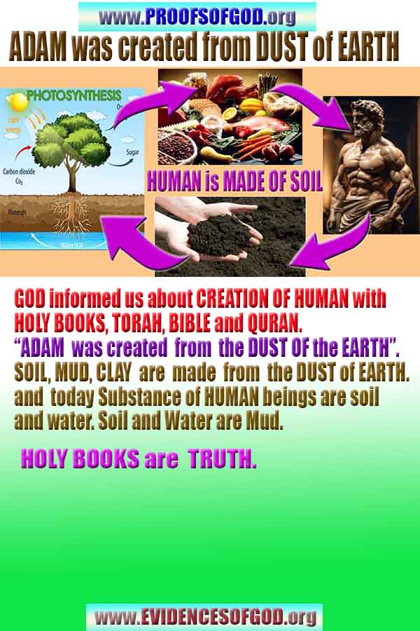 Allahın delilleri kanıtları