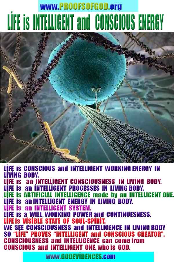 Allahın delilleri kanıtları