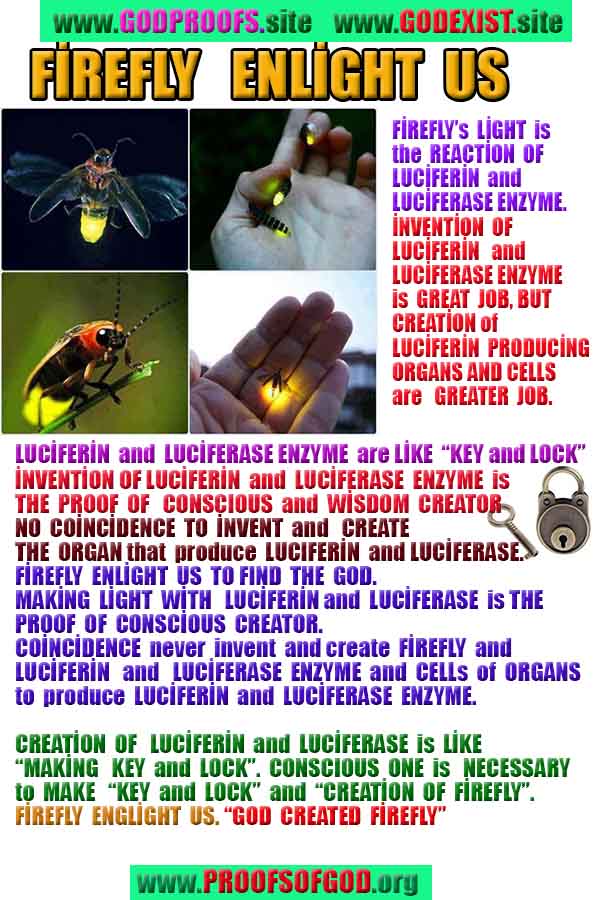 Allahın delilleri kanıtları