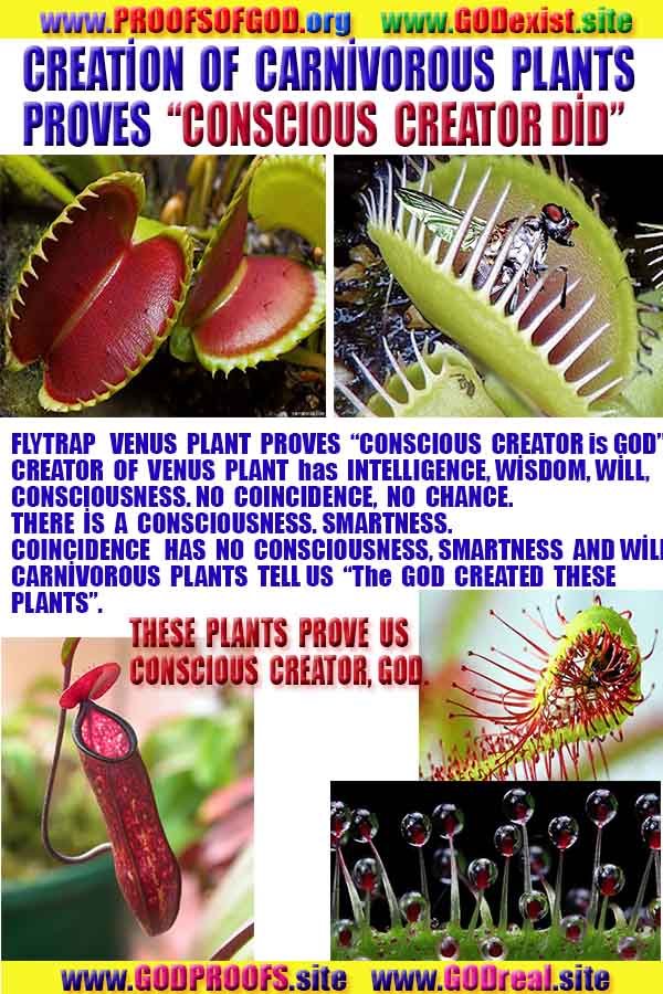 Allahın delilleri kanıtları