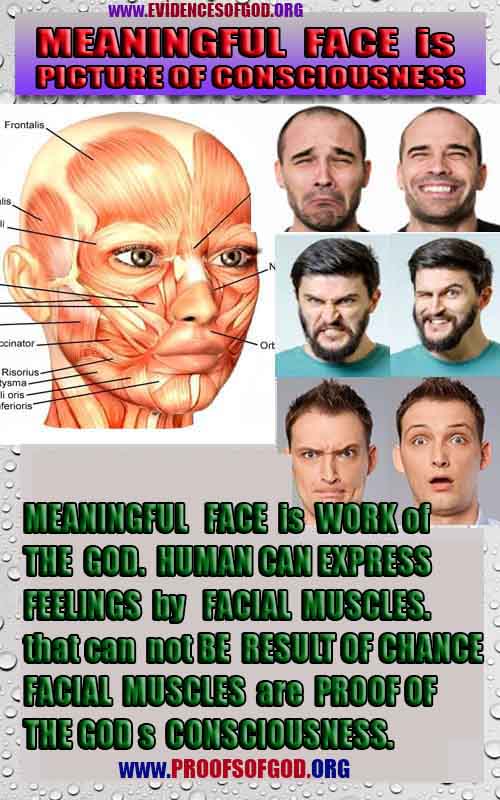 Allahın delilleri kanıtları