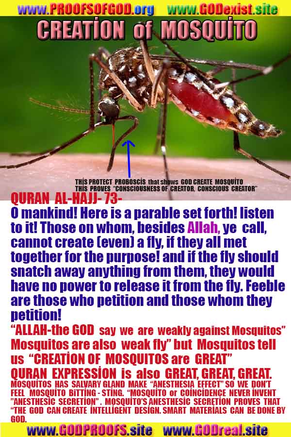 Allahın delilleri kanıtları