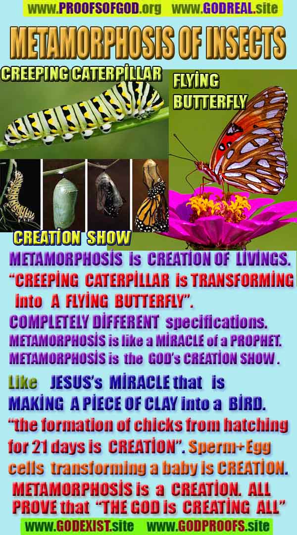 Allahın delilleri kanıtları