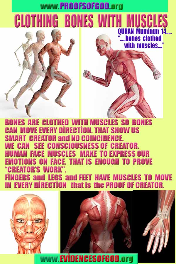 Allahın delilleri kanıtları