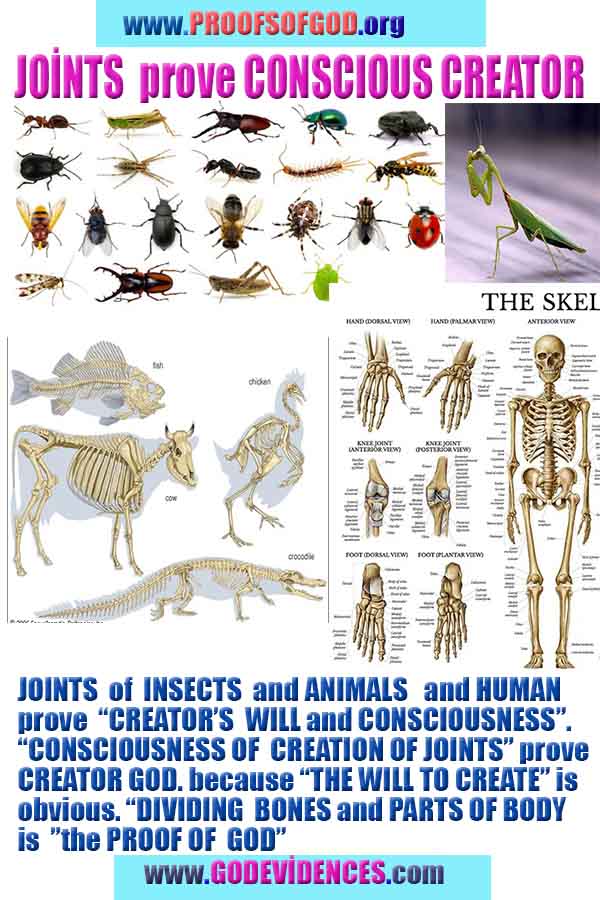 Allahın delilleri kanıtları