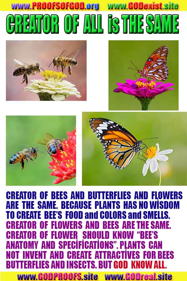 Allahın delilleri kanıtları