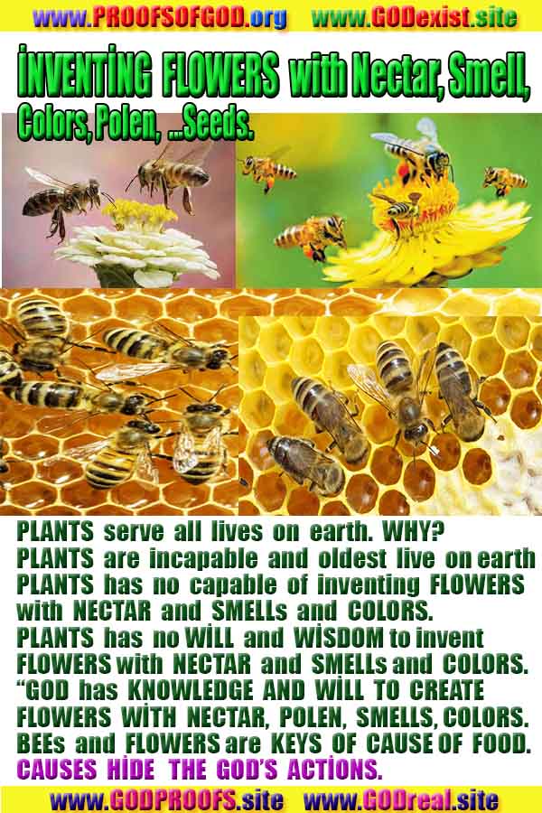 Allahın delilleri kanıtları