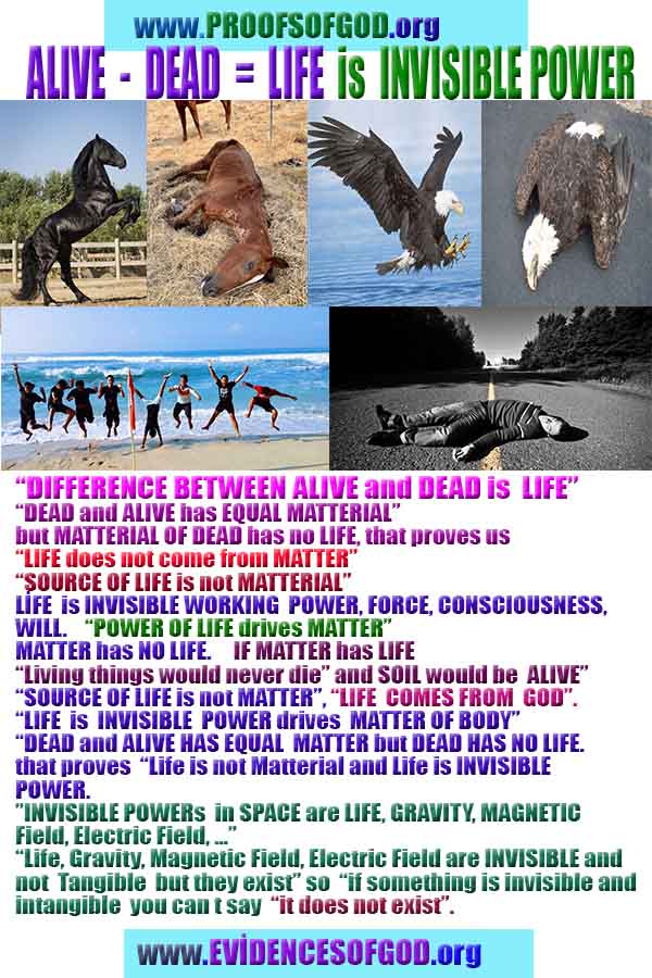 Allahın delilleri kanıtları