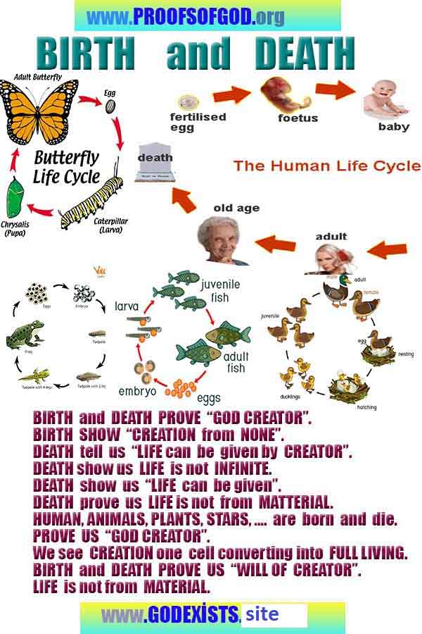 Allahın delilleri kanıtları